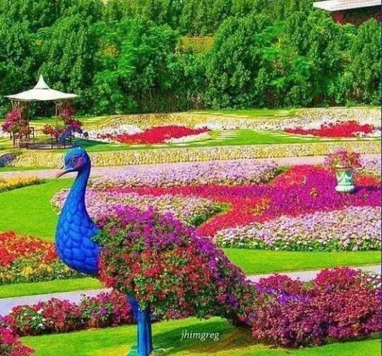 刚出的群主相册，有群的都看看，太美了，这一辈子见一次值了！