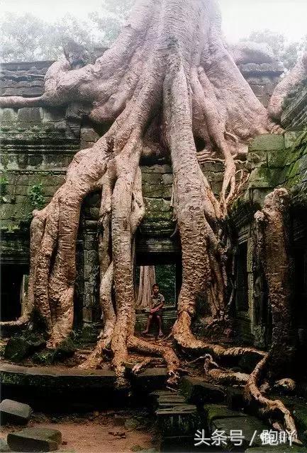 这10大东南亚“免签”仙境，月薪5K轻松走起，光看图已醉！