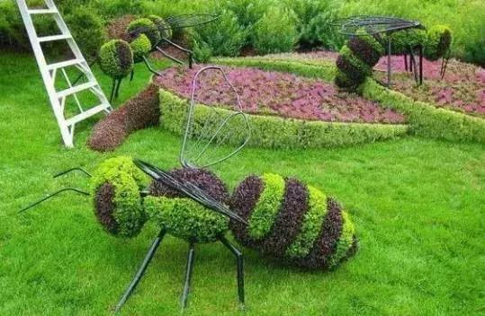 刚出的群主相册，有群的都看看，太美了，这一辈子见一次值了！