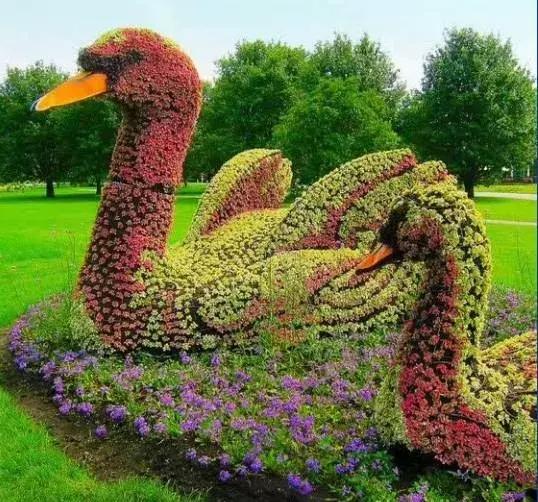 刚出的群主相册，有群的都看看，太美了，这一辈子见一次值了！