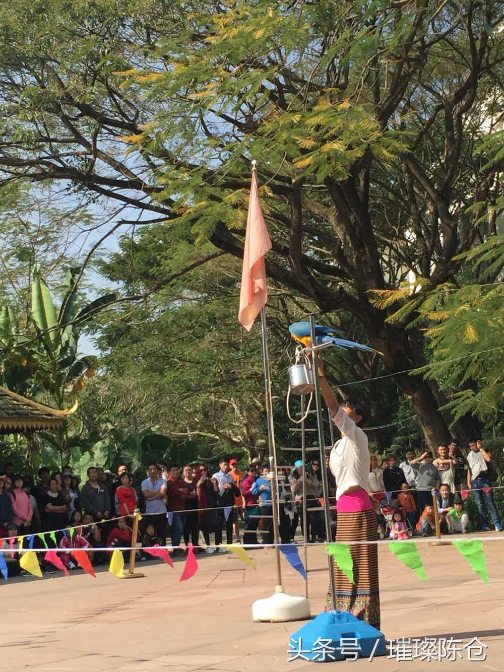 西双版纳曼听公园傣王花园,西双版纳的傣族园和曼听公园