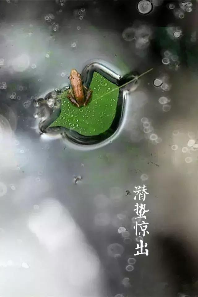 二十四节气惊蛰是哪一天,二十四节气惊蛰怎么画