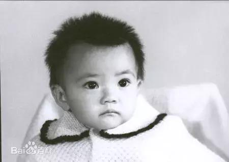 北京丰台出了什么名人,丰台都有哪些名人