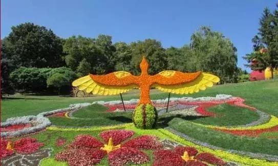 刚出的群主相册，有群的都看看，太美了，这一辈子见一次值了！