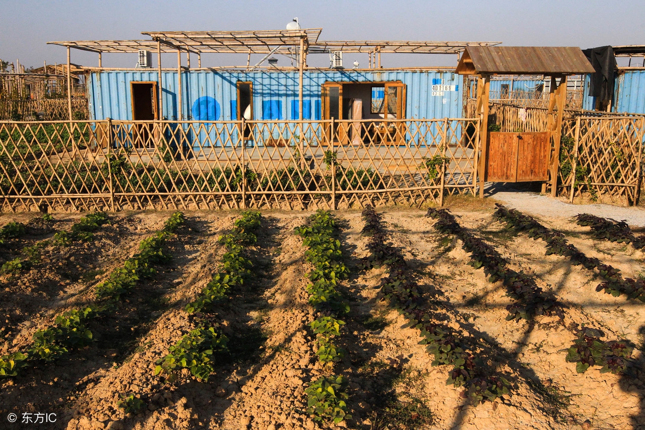 农业项目补贴去哪里申请,农业项目怎样才能拿到补贴