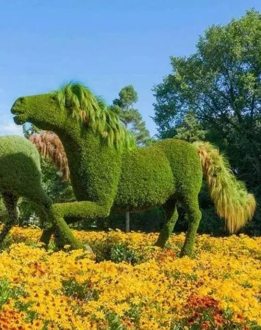 刚出的群主相册，有群的都看看，太美了，这一辈子见一次值了！