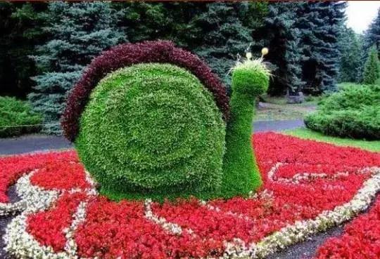 刚出的群主相册，有群的都看看，太美了，这一辈子见一次值了！