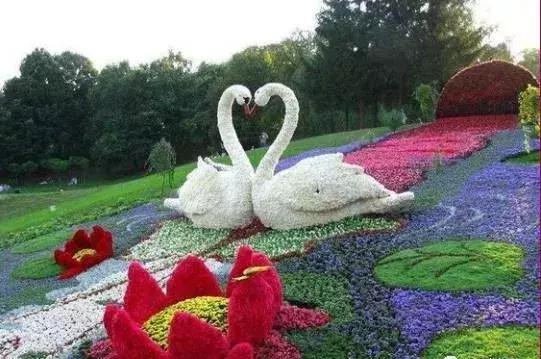 刚出的群主相册，有群的都看看，太美了，这一辈子见一次值了！