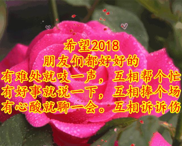 刚出的群主相册，有群的都看看，太美了，这一辈子见一次值了！