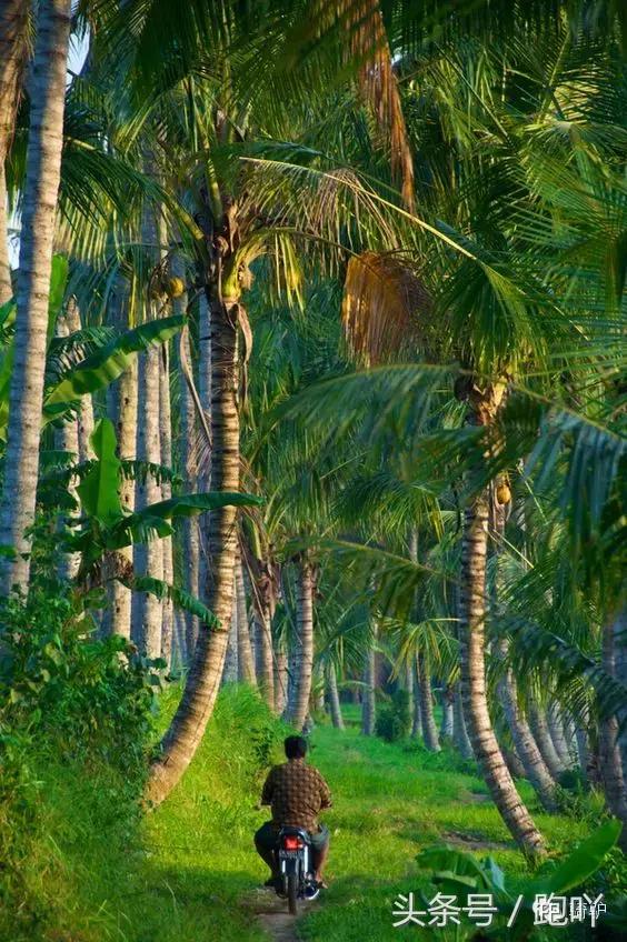 这10大东南亚“免签”仙境，月薪5K轻松走起，光看图已醉！