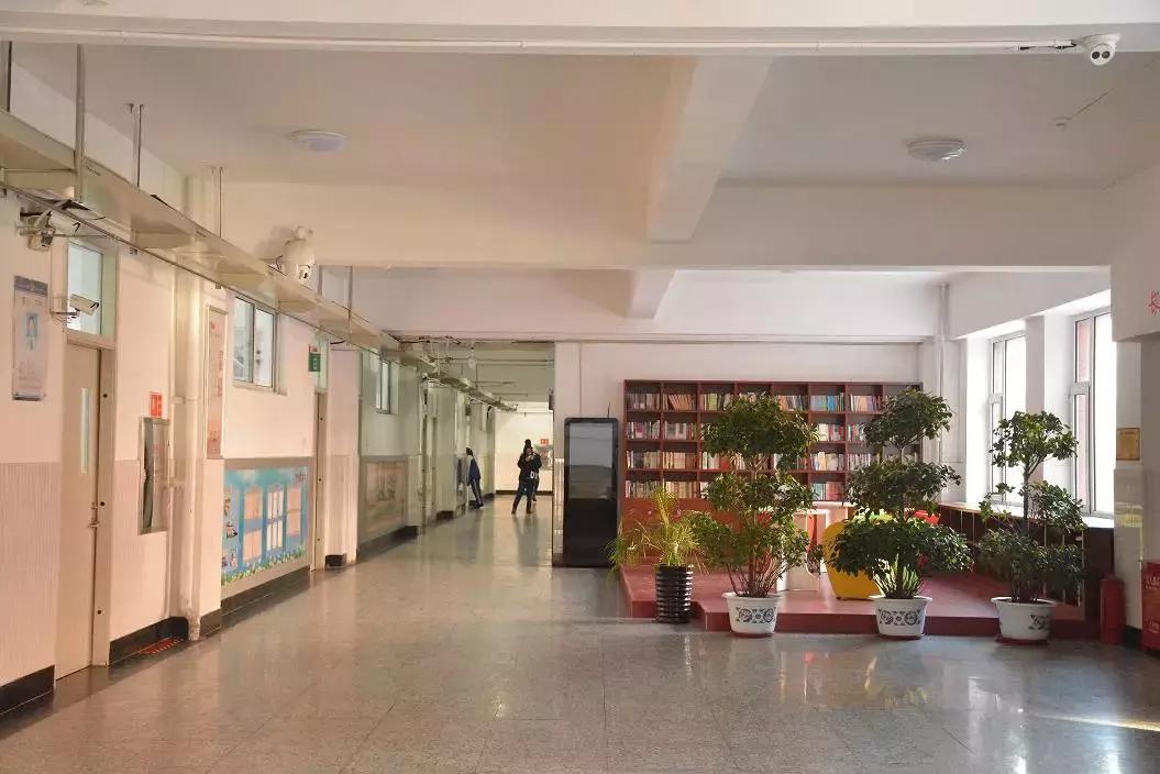 十一高今年高考咋样,十一高上学