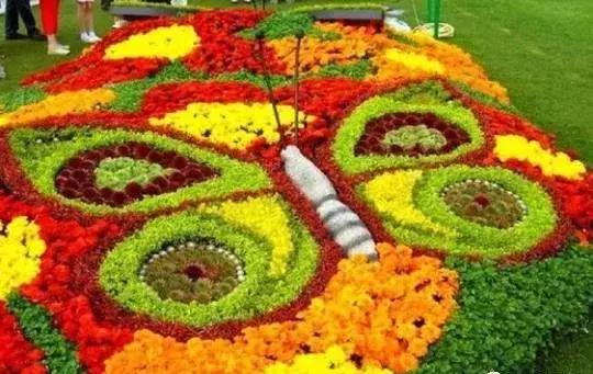 刚出的群主相册，有群的都看看，太美了，这一辈子见一次值了！