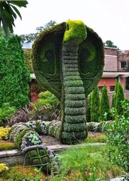 刚出的群主相册，有群的都看看，太美了，这一辈子见一次值了！