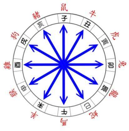 风水十二地支对应表图解,十二地支详解图解
