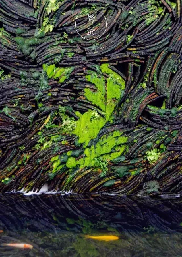 二十四节气惊蛰是哪一天,二十四节气惊蛰怎么画