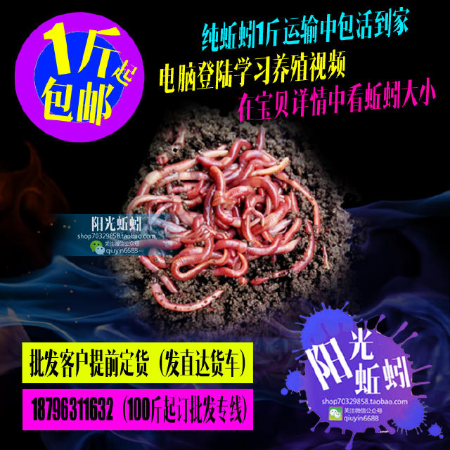 想钓获大黑鱼，赶快get这几个技巧！