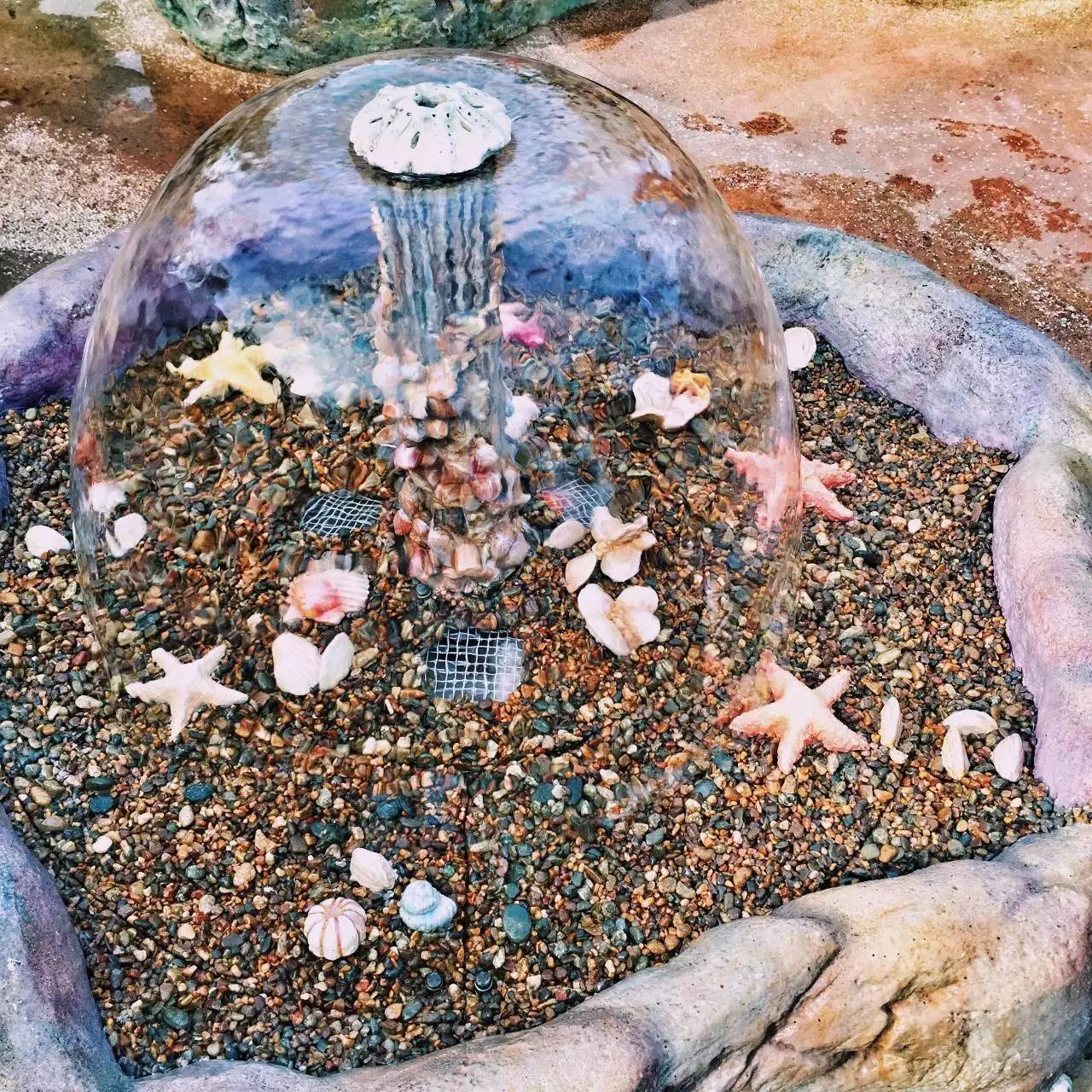 Low逼狗带｜仙女仙眼里的上海迪士尼～