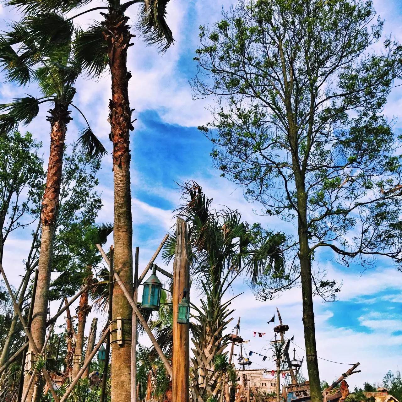 Low逼狗带｜仙女仙眼里的上海迪士尼～