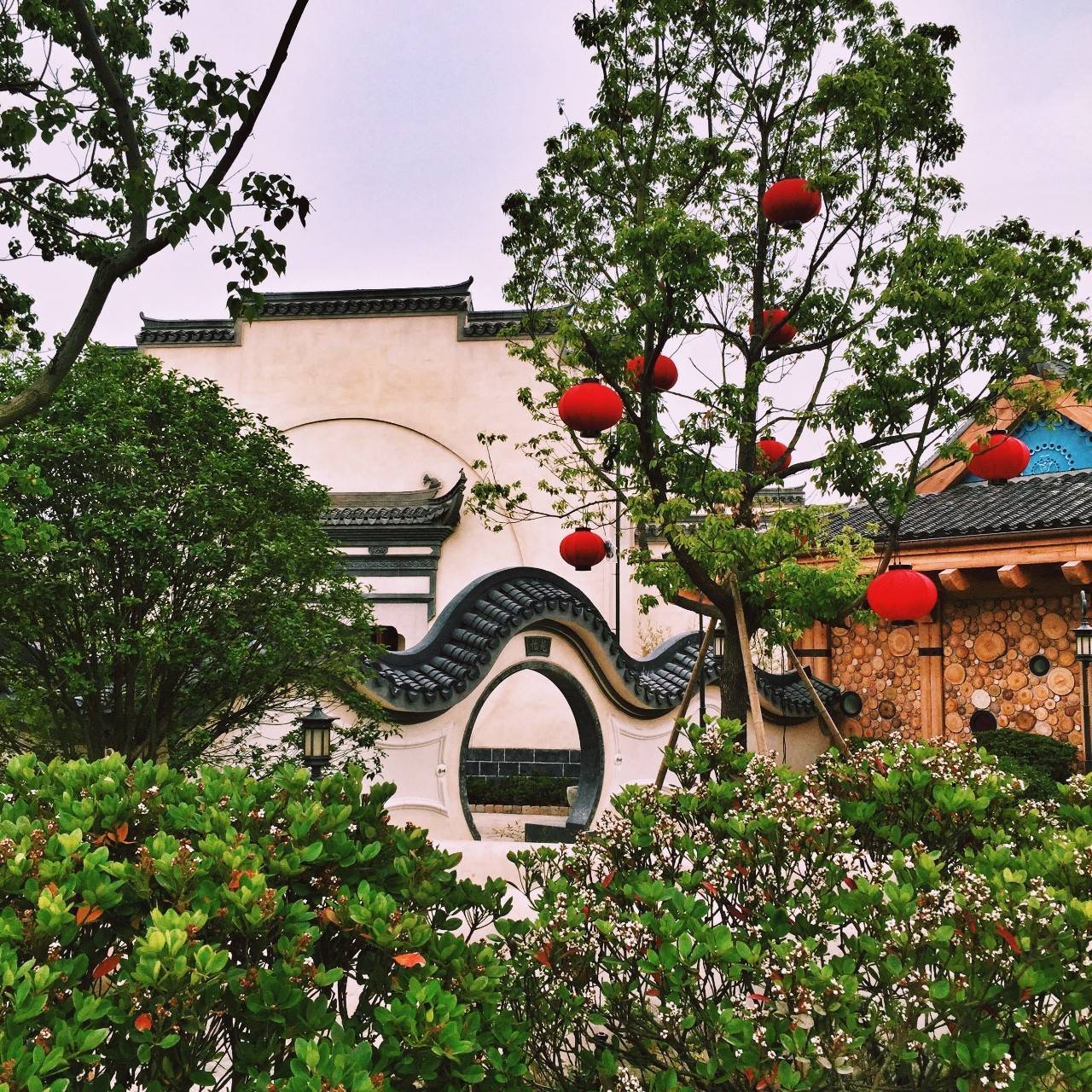 Low逼狗带｜仙女仙眼里的上海迪士尼～