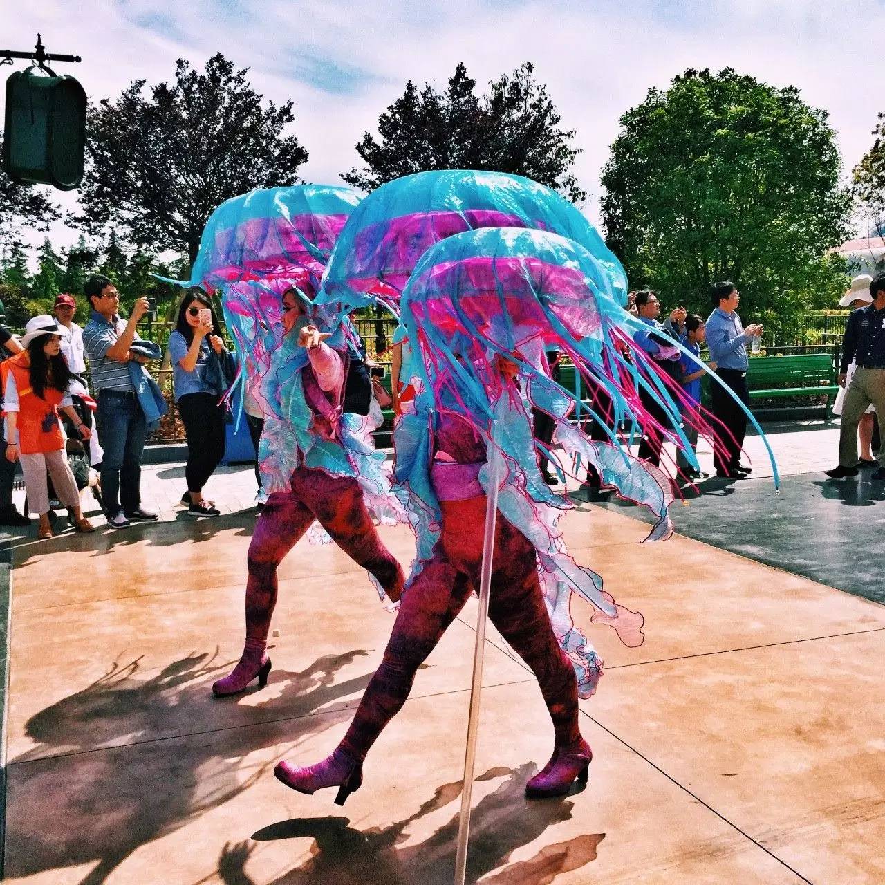 Low逼狗带｜仙女仙眼里的上海迪士尼～