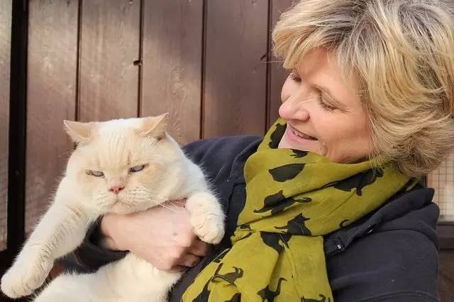 我家毛球最好抱了！不过该怎么抱？