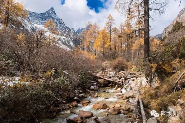 512汶川地震十二年铭记历史,缅怀汶川512地震