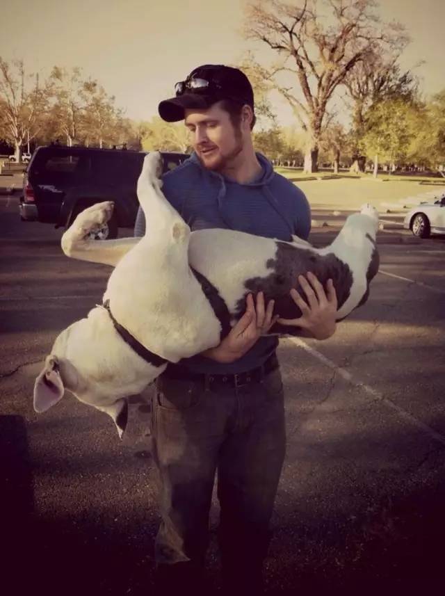 我家毛球最好抱了！不过该怎么抱？