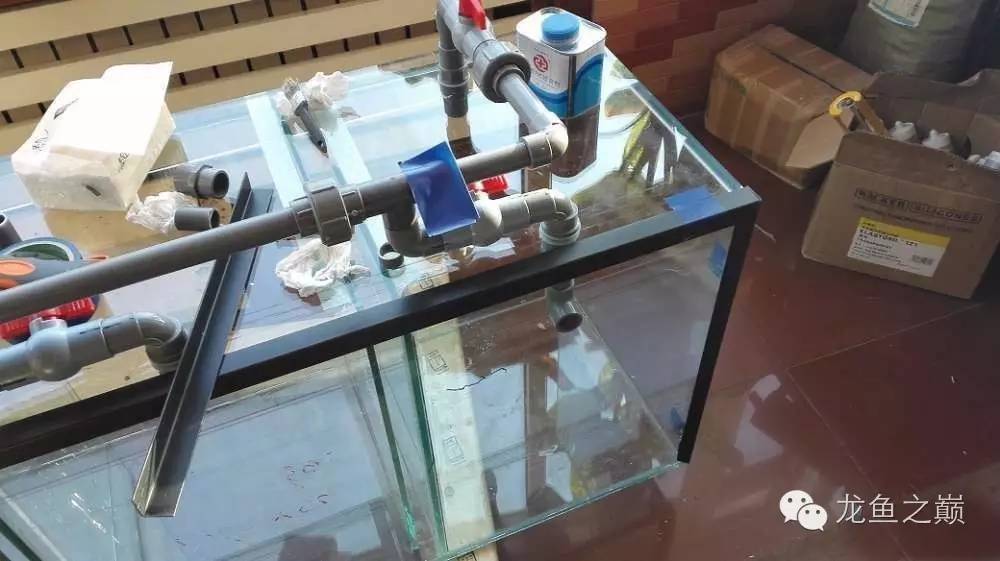 超级白，超会做，这才叫养鱼！