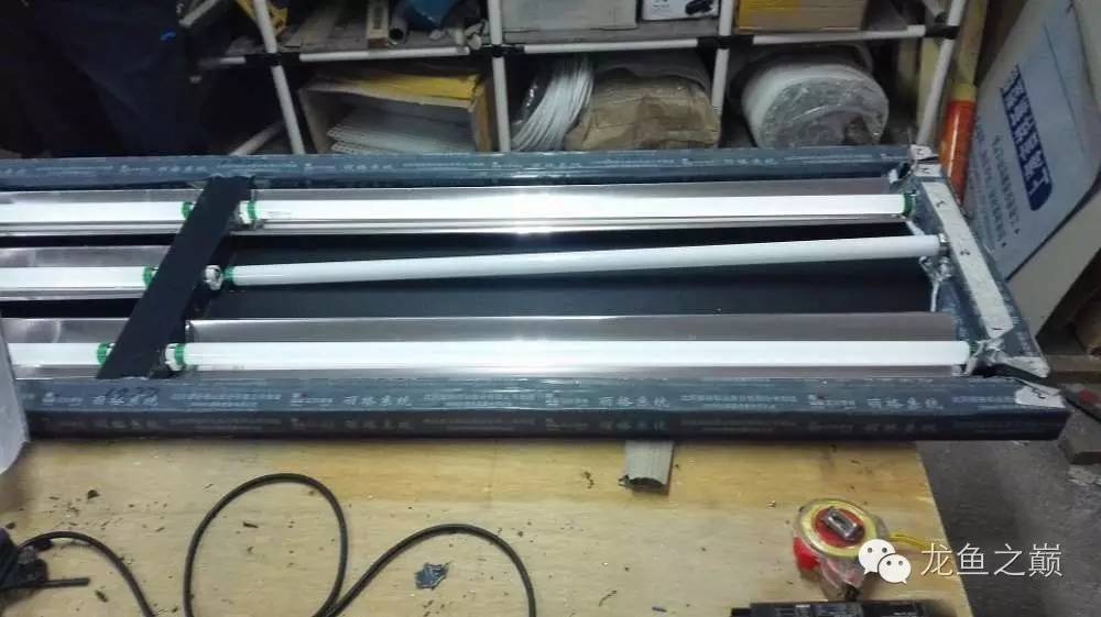 超级白，超会做，这才叫养鱼！