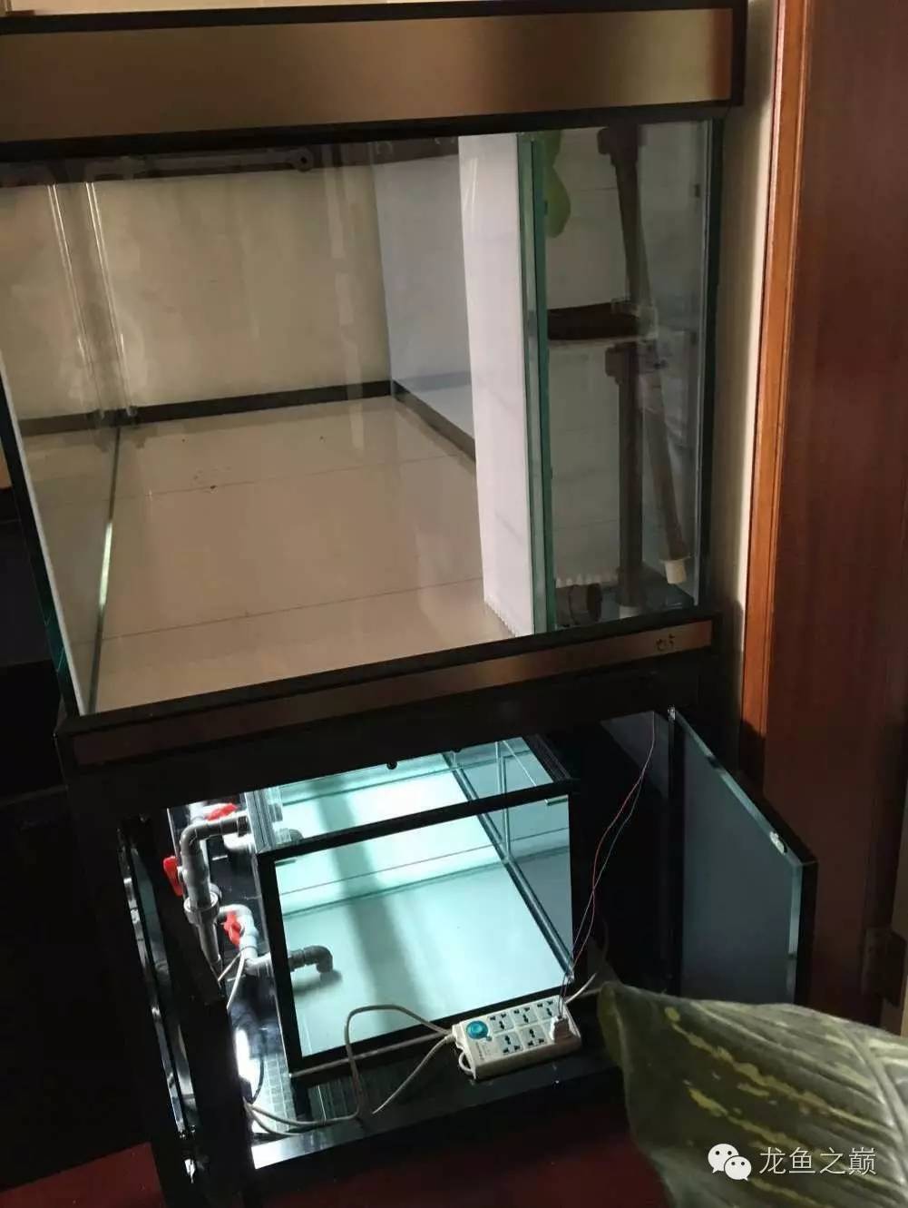 超级白，超会做，这才叫养鱼！