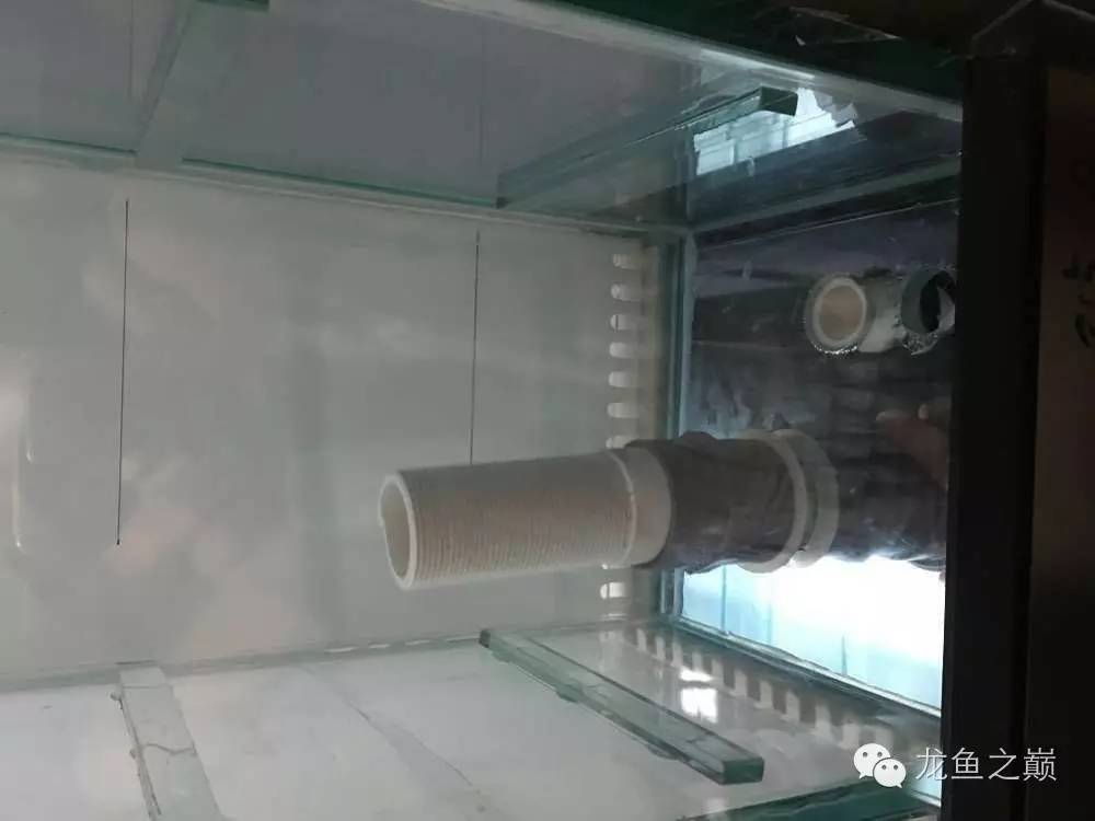 超级白，超会做，这才叫养鱼！