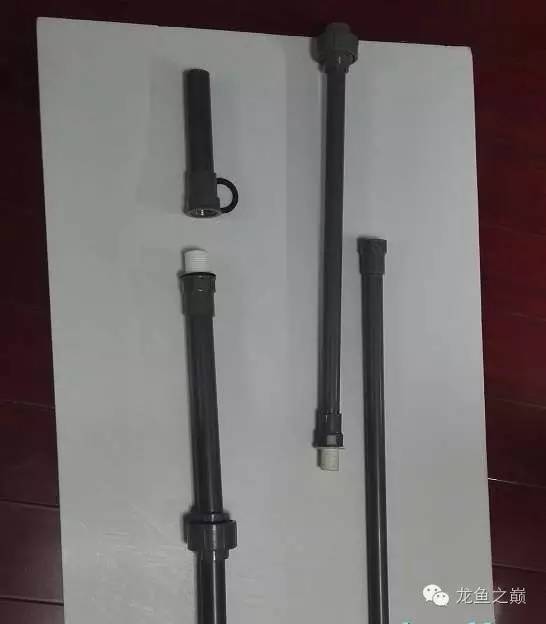 超级白，超会做，这才叫养鱼！