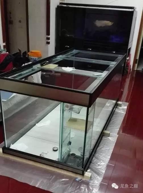 超级白，超会做，这才叫养鱼！