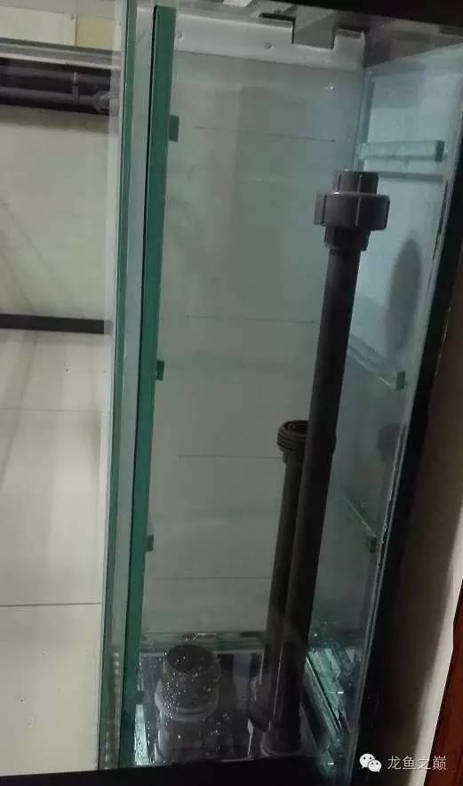 超级白，超会做，这才叫养鱼！