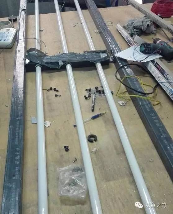 超级白，超会做，这才叫养鱼！