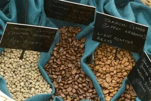 旅行手信,广东旅游必带手信