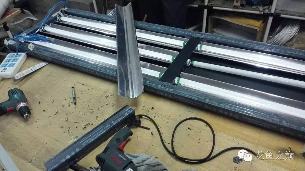 超级白，超会做，这才叫养鱼！