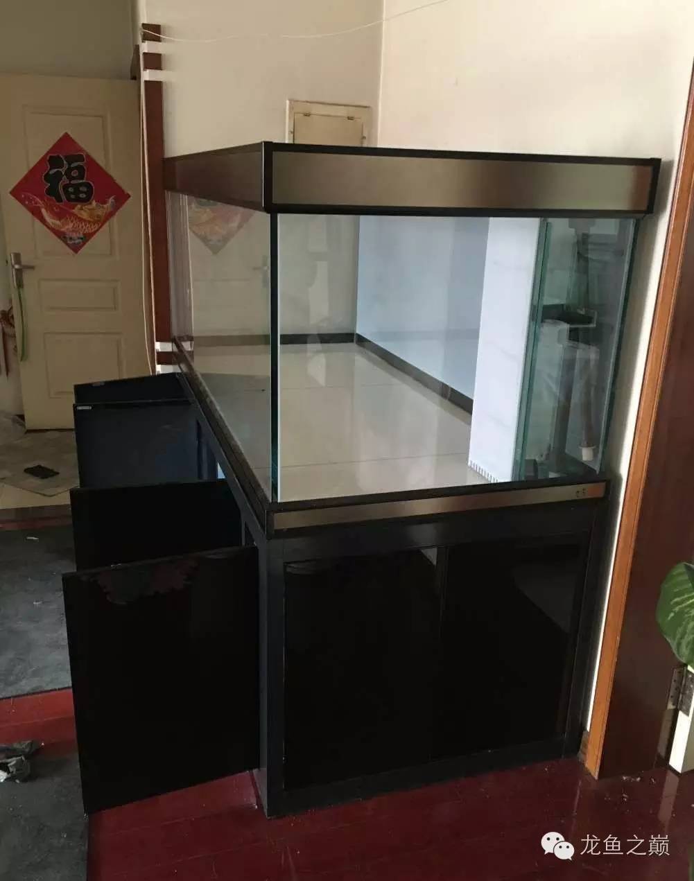 超级白，超会做，这才叫养鱼！