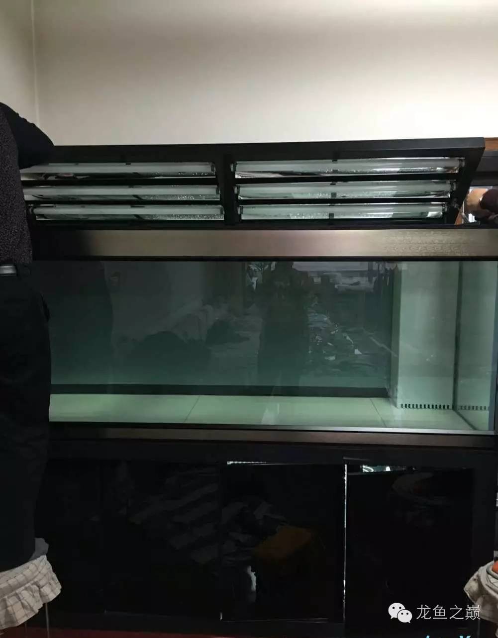 超级白，超会做，这才叫养鱼！