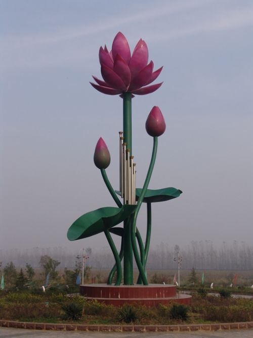 从A到Z，26个字母让你读懂微山湖红荷湿地