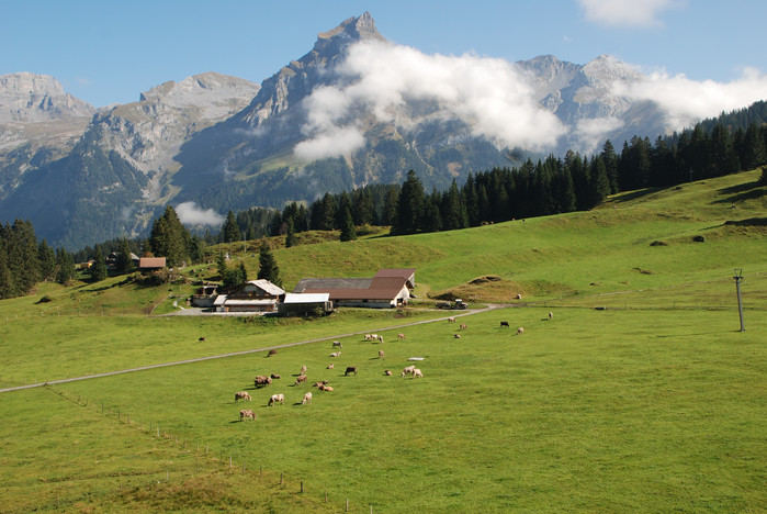 瑞士十日深度自驾游之六,湖光山色瑞士旅游