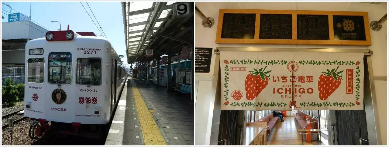 百万级帖主的“再度进击”|西日本，你不该错过这些