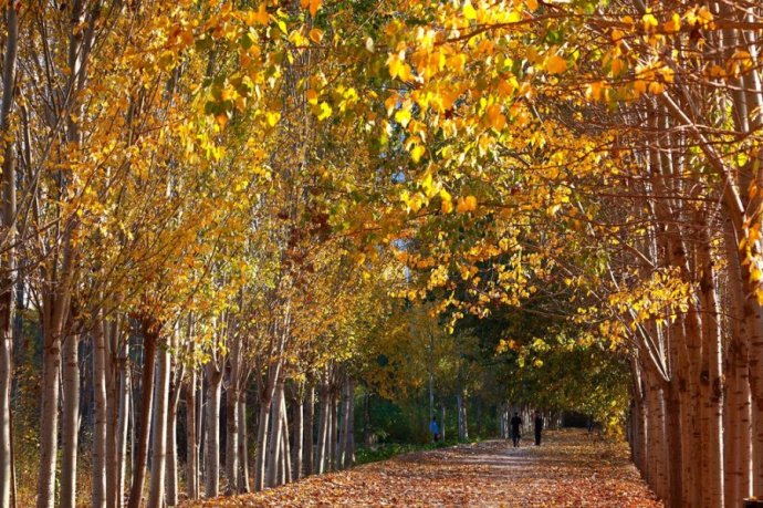 银川哪里最适合居住,银川哪个地段适合居住