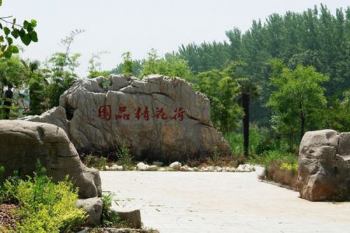 从A到Z，26个字母让你读懂微山湖红荷湿地