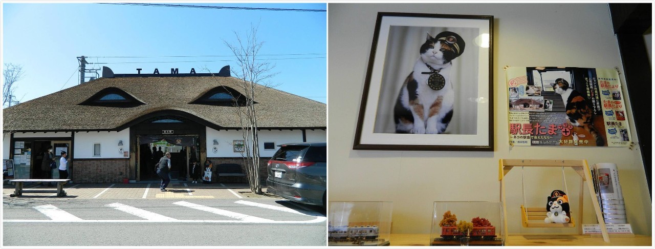 百万级帖主的“再度进击”|西日本，你不该错过这些