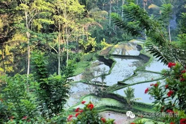 巴厘岛正确的打开方式,这才是打开巴厘岛的正确方式