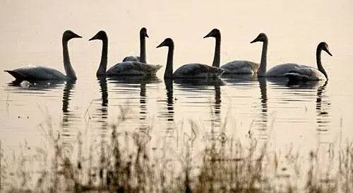 河南迪士尼乐园城堡,郑州迪士尼旅游景点