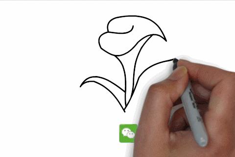 100个人物动态简笔画,青蛙蝌蚪动态简笔画