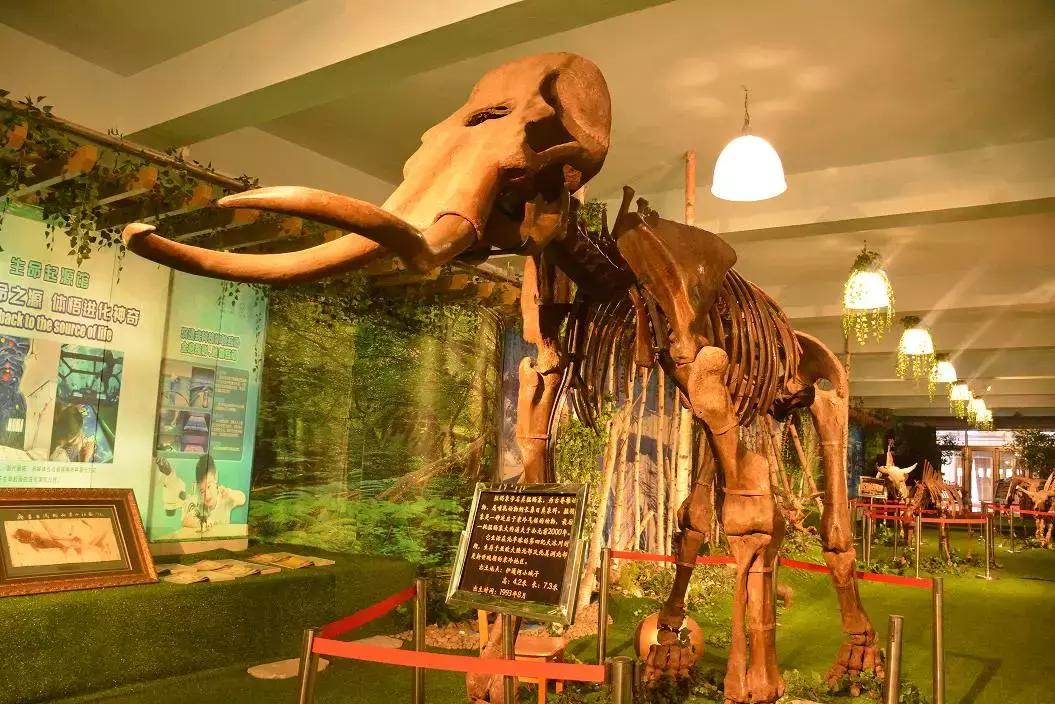 十一高今年高考咋样,十一高上学