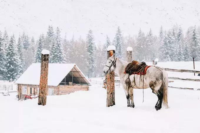 我们来自五湖四海原唱,我们来自于五湖四海全文